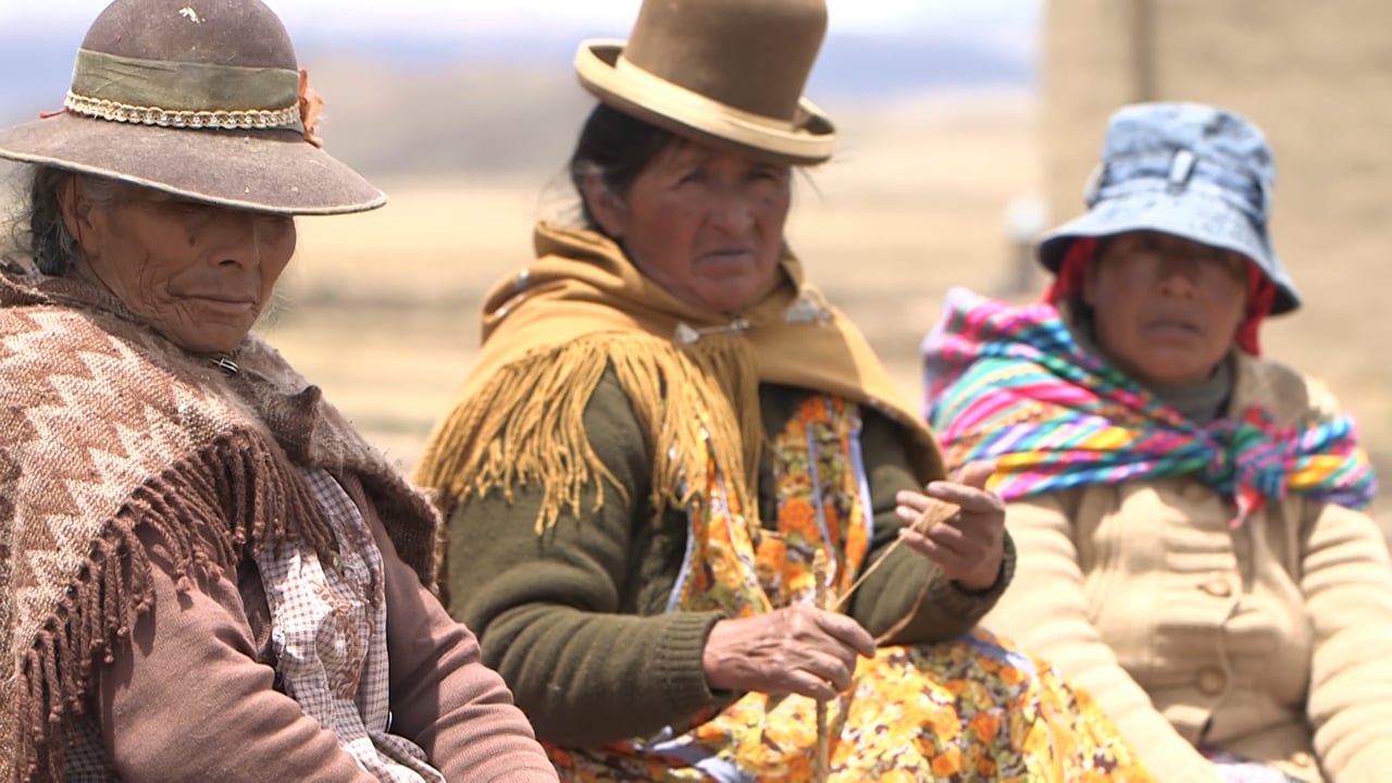 Calpex - Tejiendo la solidaridad
