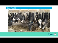 Juan José Núñez. Allflex Livestock Intelligence