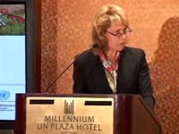 The Business of Development (2010)