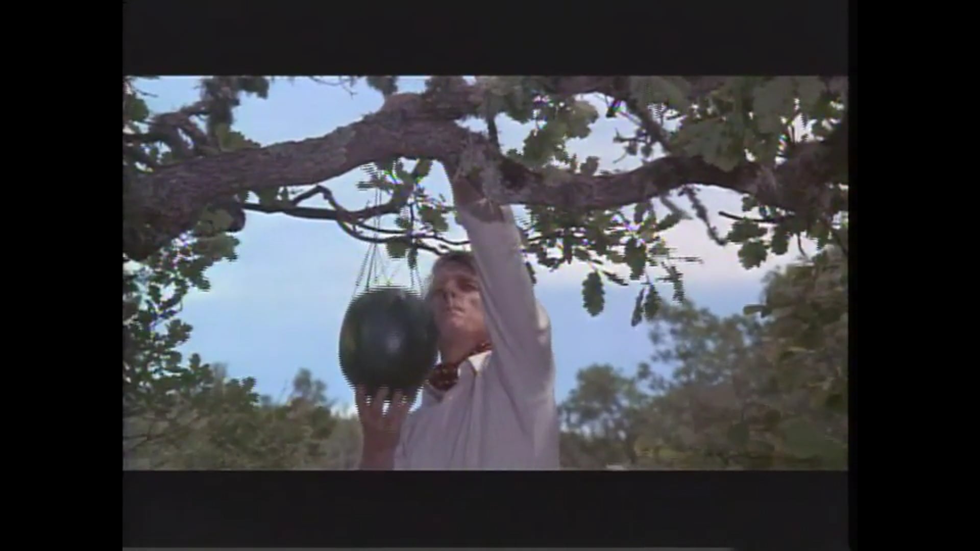 TYPE 5: THE DAY OF THE JACKAL