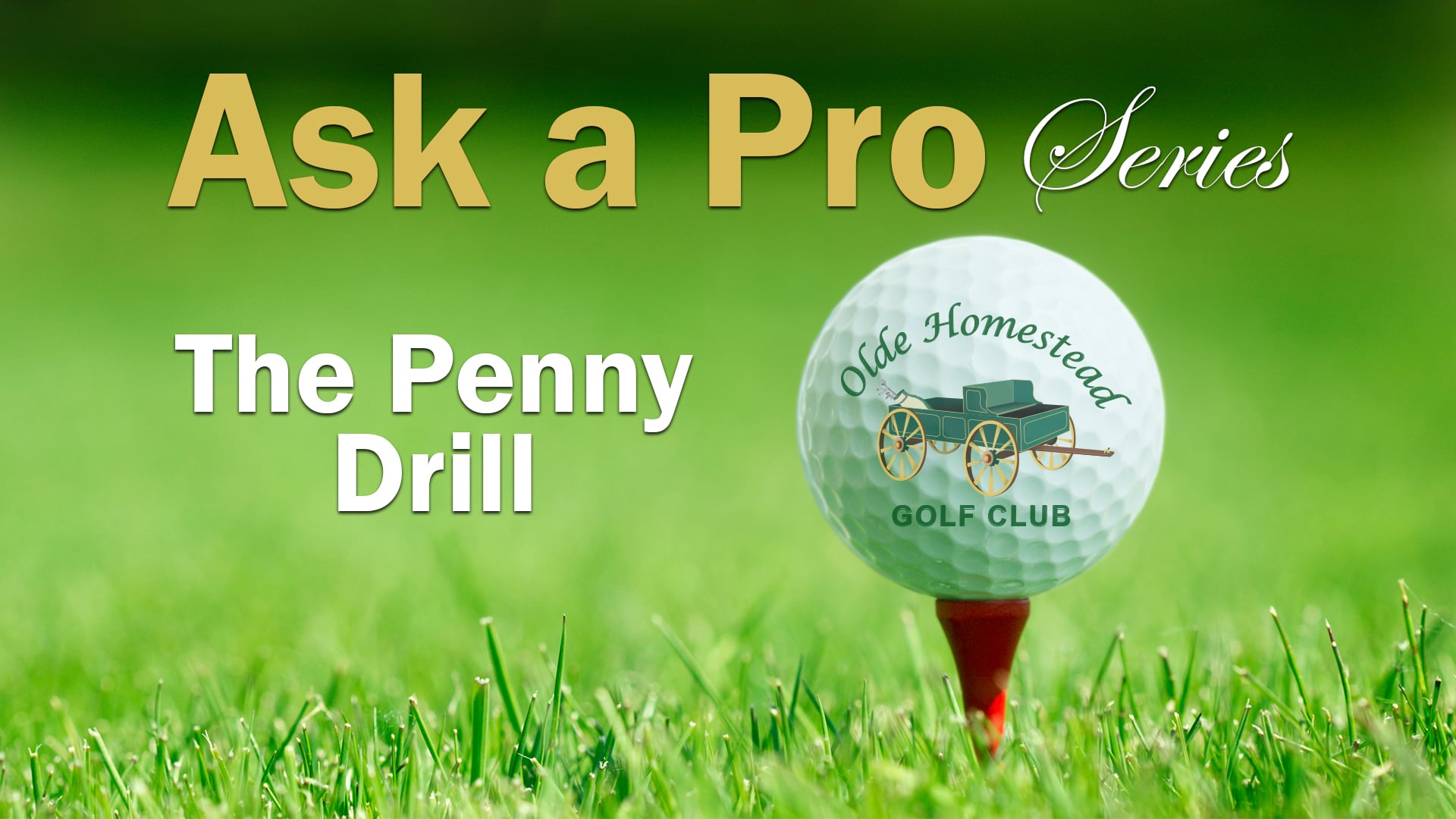 Olde Homestead Golf Club ASK A PRO - Penny Drill