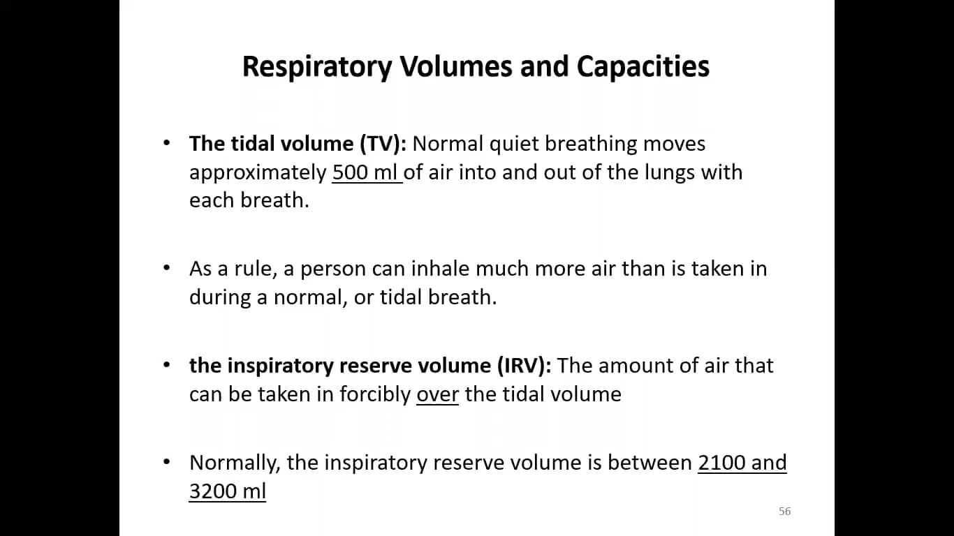 respiratory system part IV on Vimeo