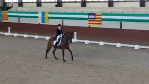 Deux nouveaux chevaux pour José Daniel Martin Dockx