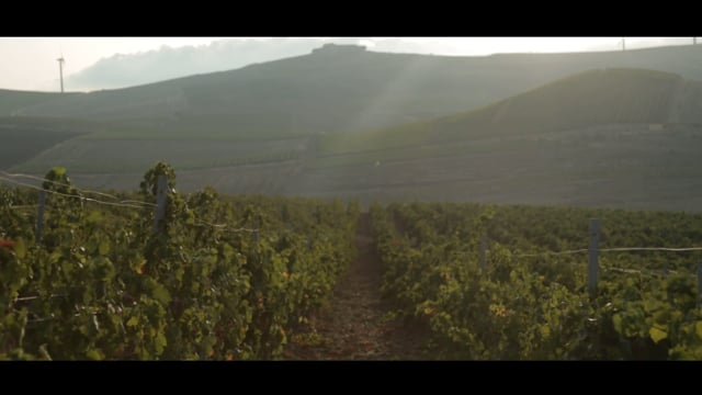 Firriato - Una storia di Vino - Trailer