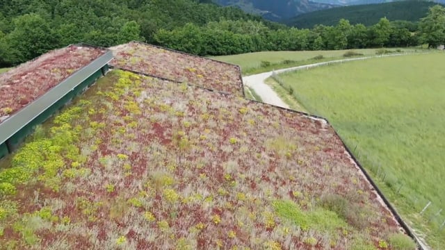 AZIENDA AGRICOLA ROSSI GABRIELE & C. – Petruschio - Verghereto (FC)