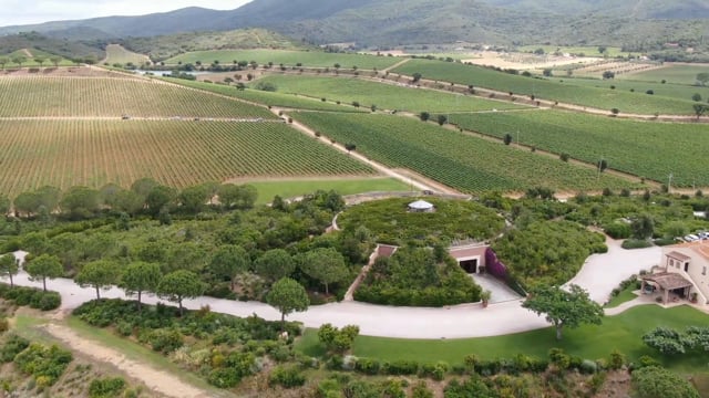 Cantina Le Mortelle