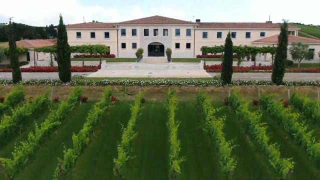 Cantina Val delle Rose