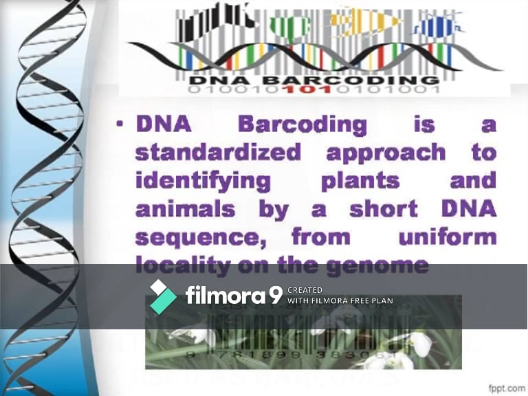 DNA barcoding for beginners on Vimeo