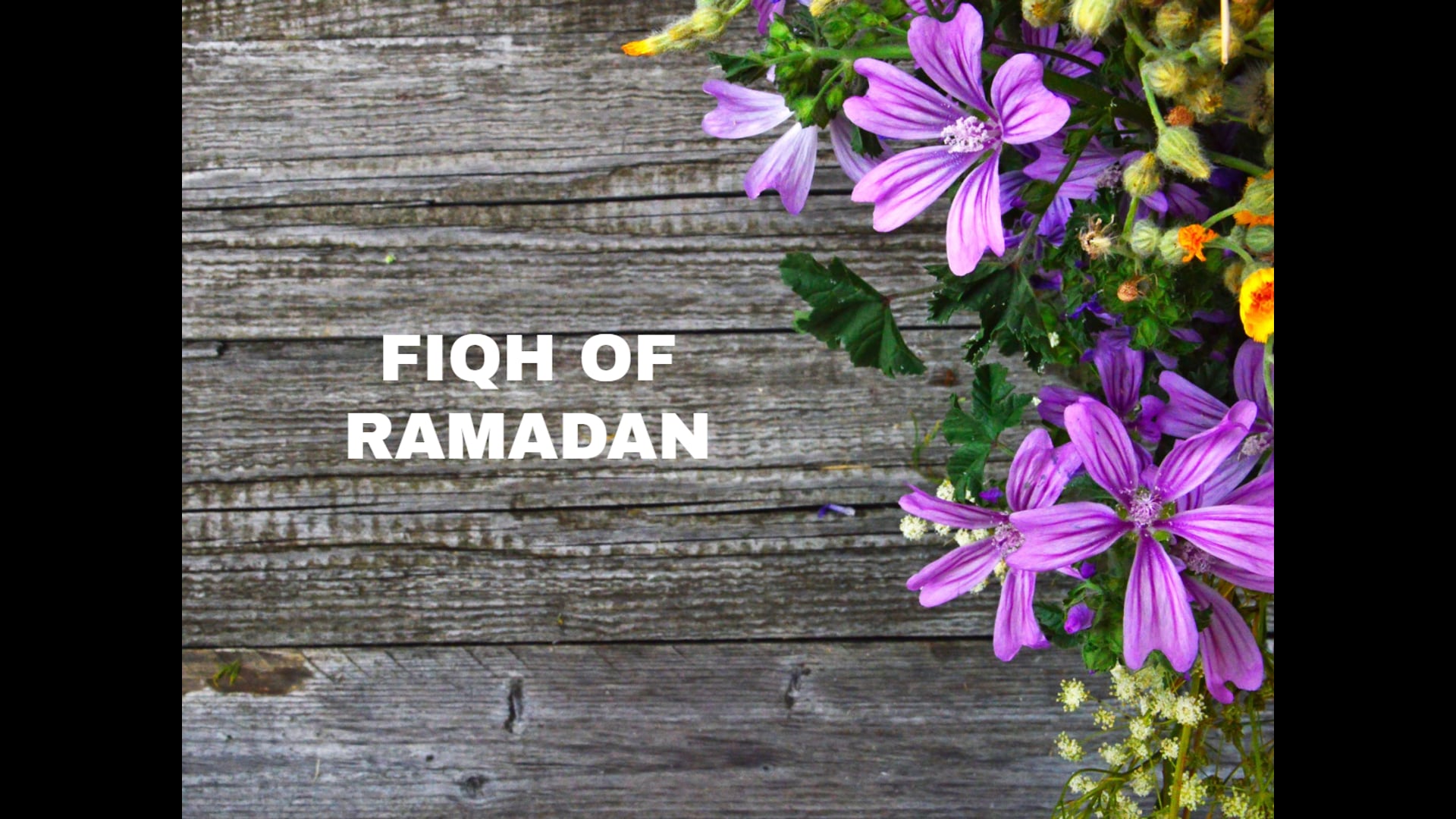 Ramadan - Forbidden days to fast