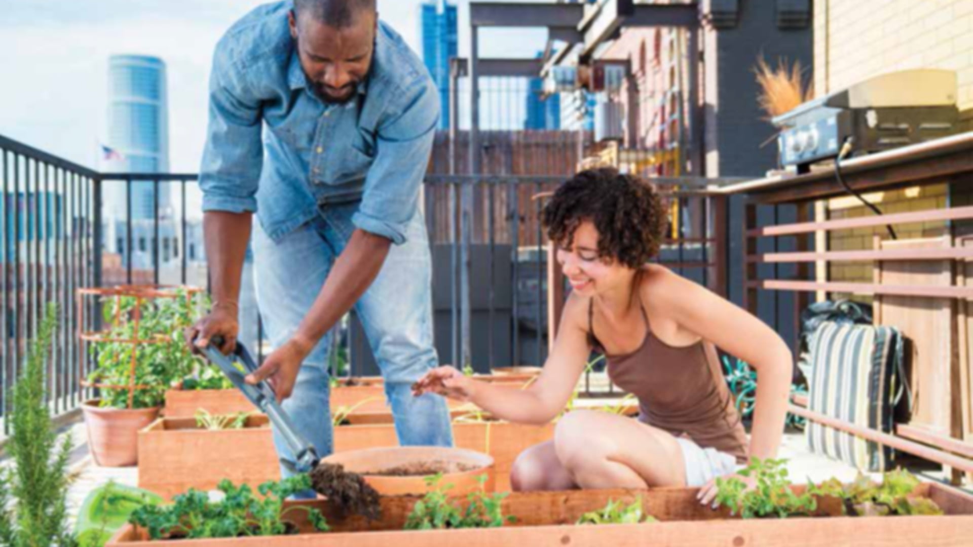 Maximizing Plant Growth