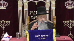 פרשת חקת דיני ברכת הגומל סודאי תמוז תשפ