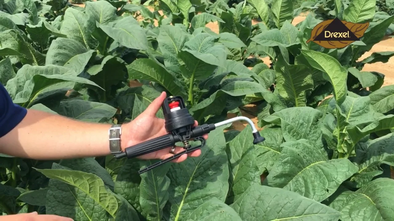 tobacco sucker control If you have planted tobacco, you need ECOTOPP. ECOTOPP controls suckers ensuring full leaf development and a quality yield. ECOTOPP provides season-long of suckers. It is ideal for flue-cured Virginia Topping and Suckering Tobacco