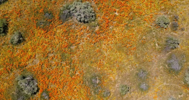 Drone Sizzle Reel