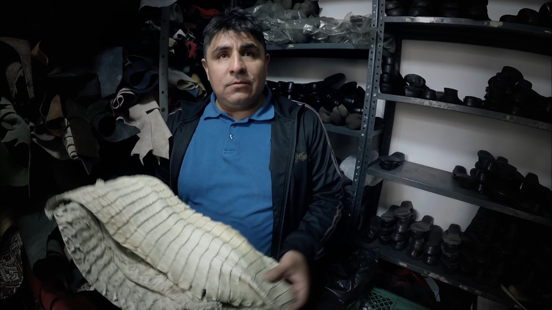 ¿Dónde terminó el cocodrilo del Bronx? - Historias Extraordinarias