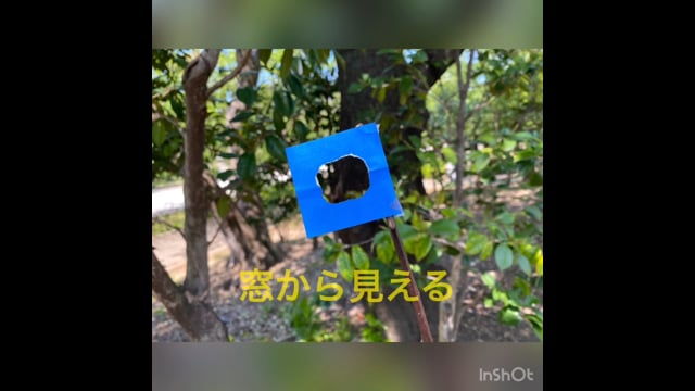 わくわくお散歩【のぞき窓編】（仮）