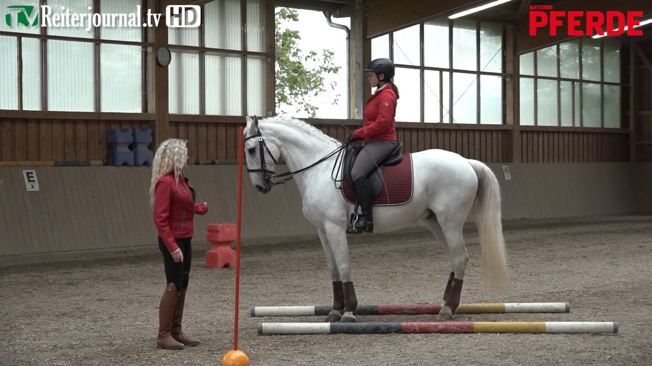 Richtig Reiten mit Andrea Jänisch - Taktsicher durch den Trailparcours / Working Equitation