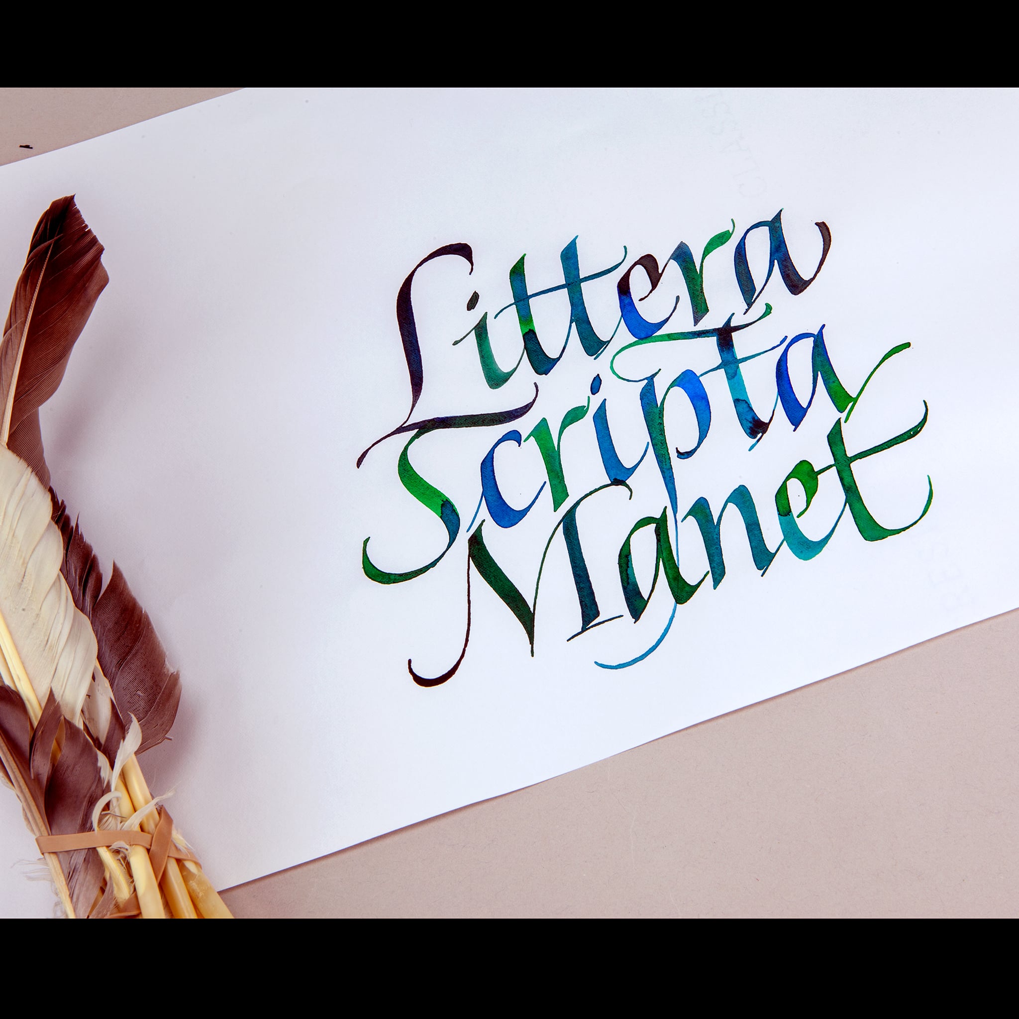 Italic John Stevens On Vimeo