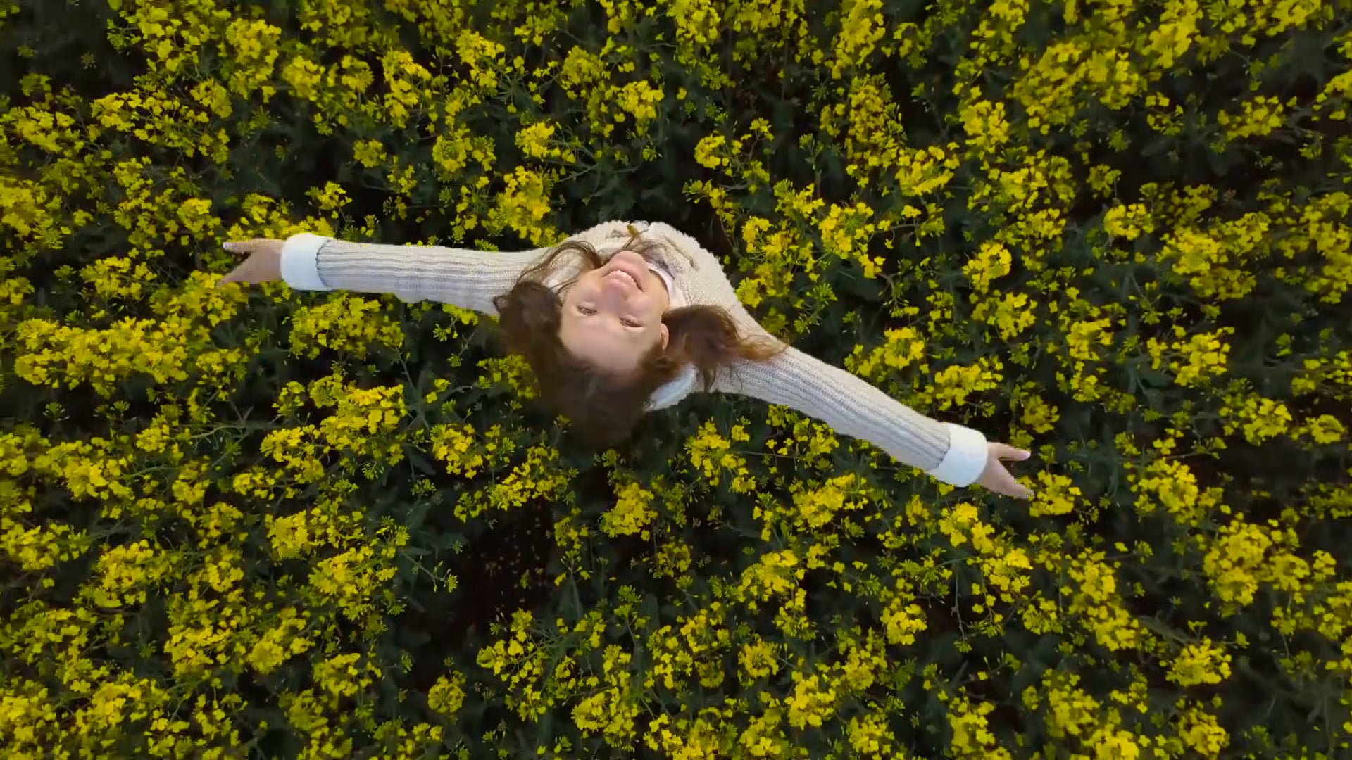 BEPIC - ELEV8 ACCELER8 ENG V2web