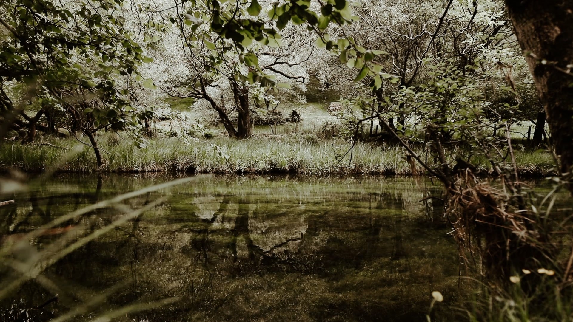 18 second on Vimeo