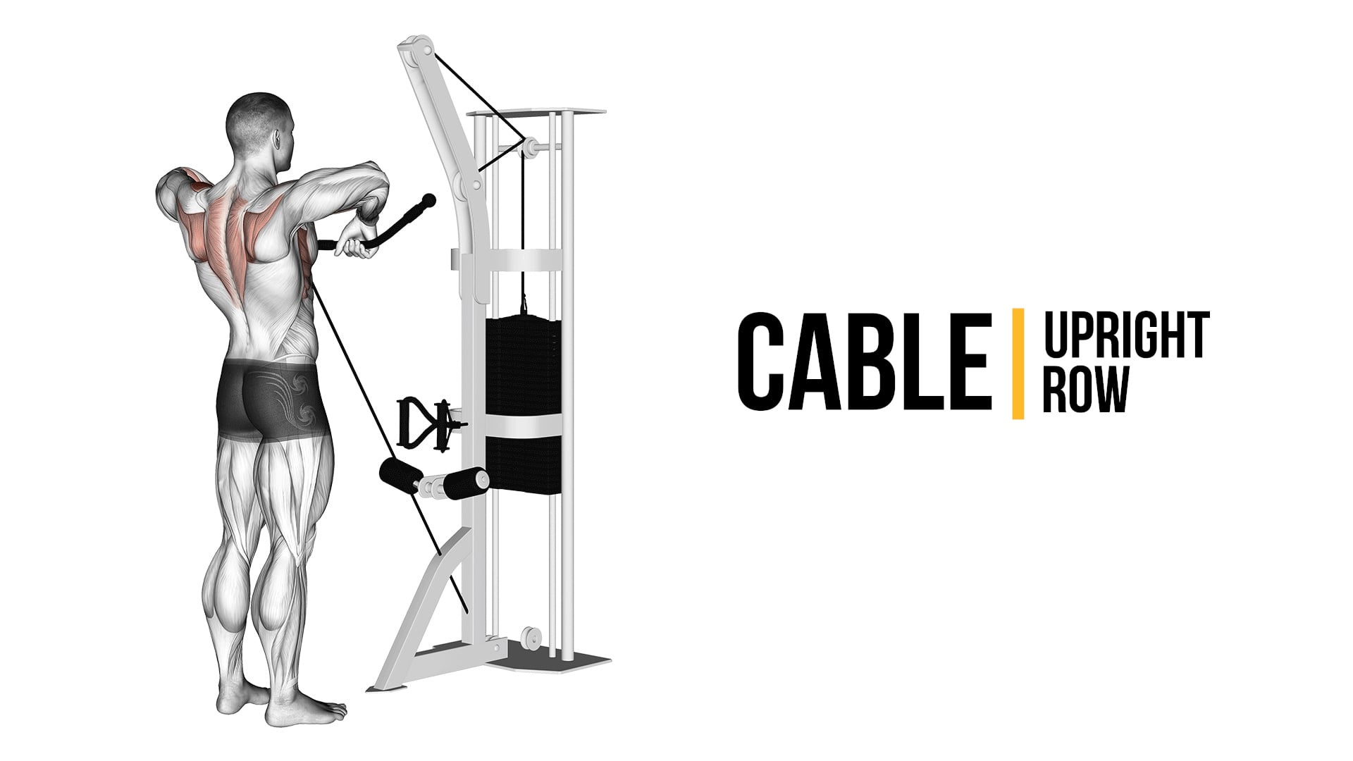 cable upright rows