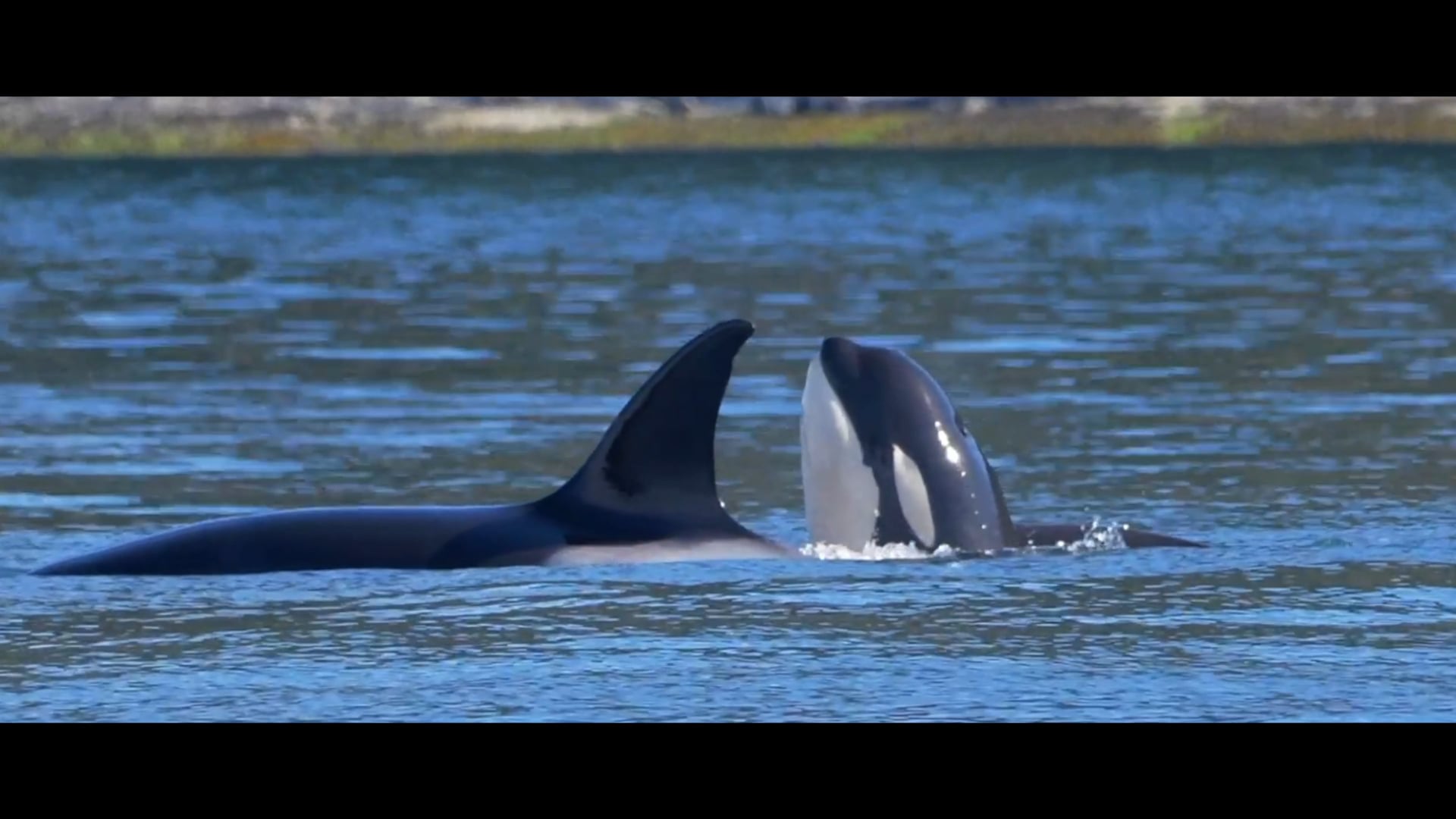 "Behind the Scenes" Ocean Souls