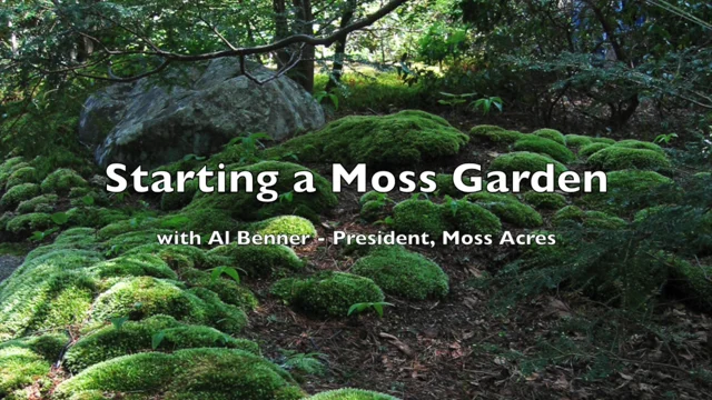 Live Fern Moss / Sheet Moss (Terrarium, Vivarium, Fairy Garden, Home D – EZ  Botanicals