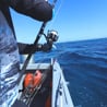 Bone Ocean Thug Rod