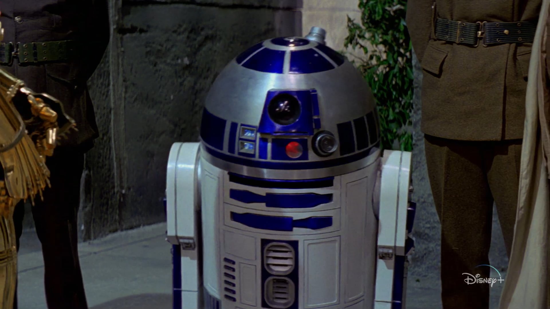 Disney+ TV30 "May The 4th"