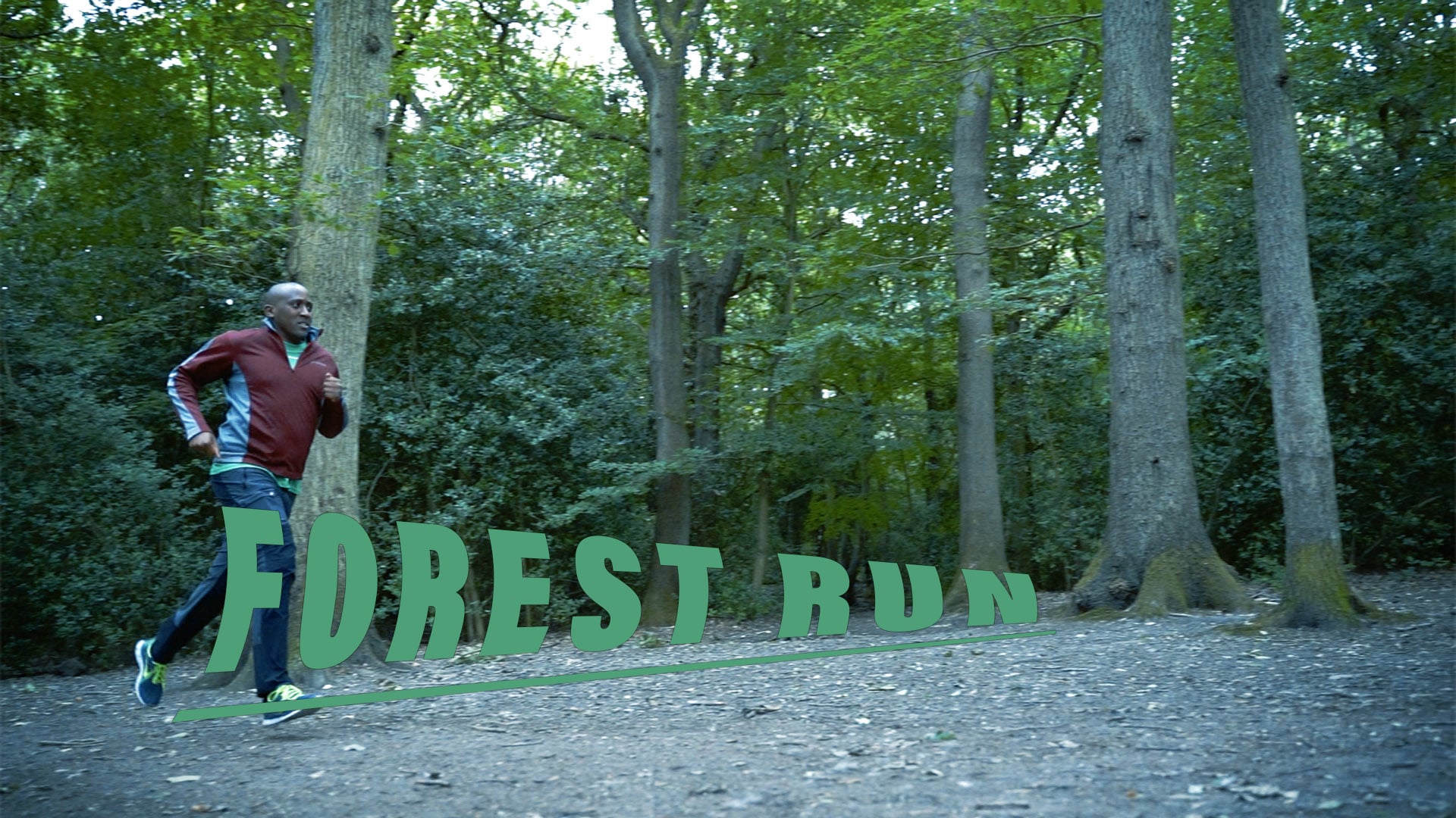 Forest Run