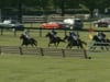 VA Gold Cup 2020 R10 Waiver Maiden Claiming.m4v