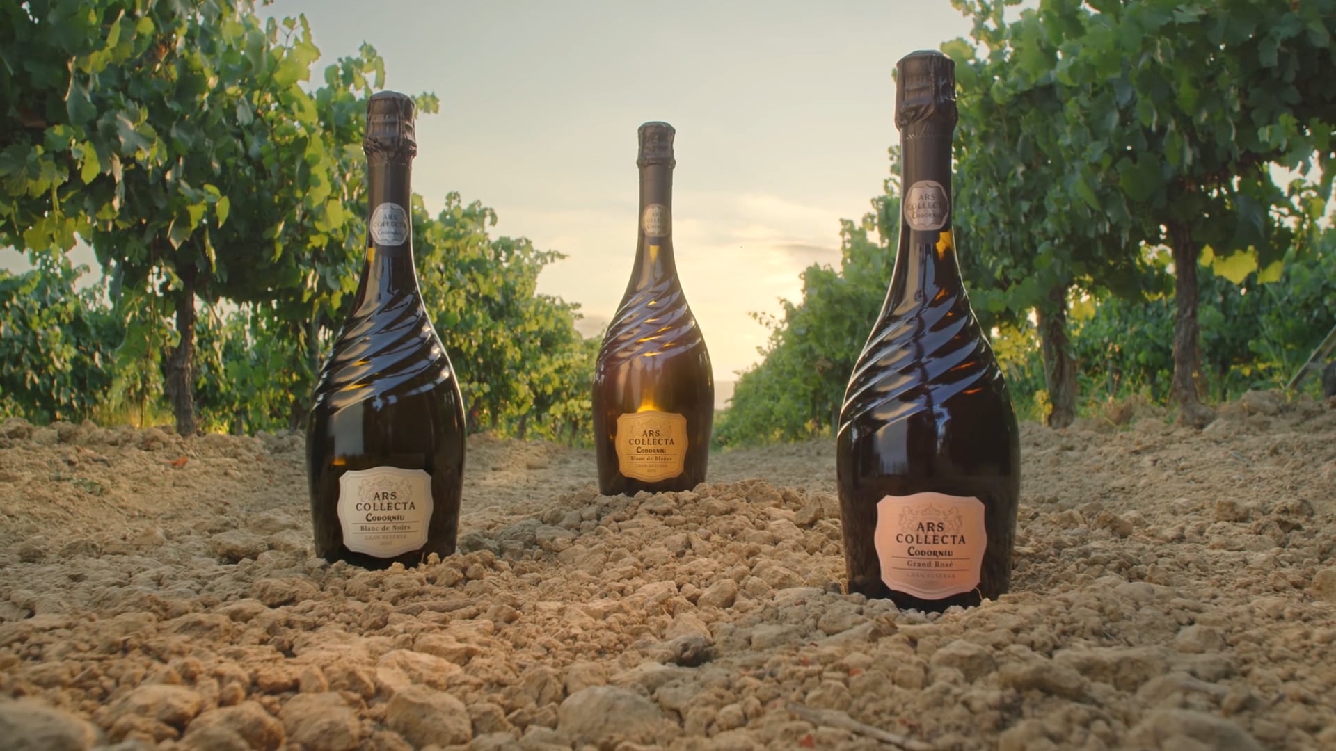 ARS COLLECTA de CODORNIU