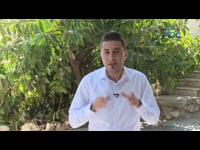 من بلدتنا - بلدة صوريف - #10