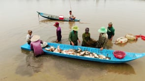 fish harvest, fishers, people