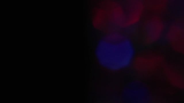 0以上の無料キラキラ 輝く動画 Hd 4kクリップ Pixabay