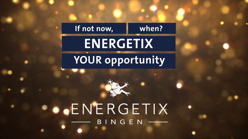 ENERGETIX business idea