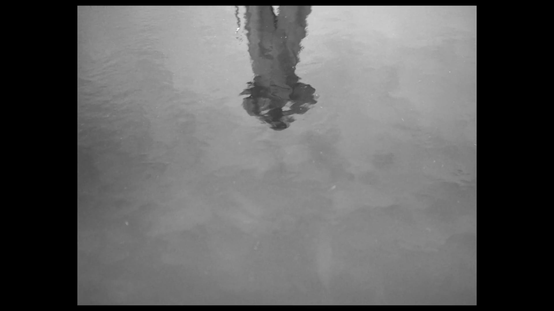 MARE NOSTRUM | 2020 |