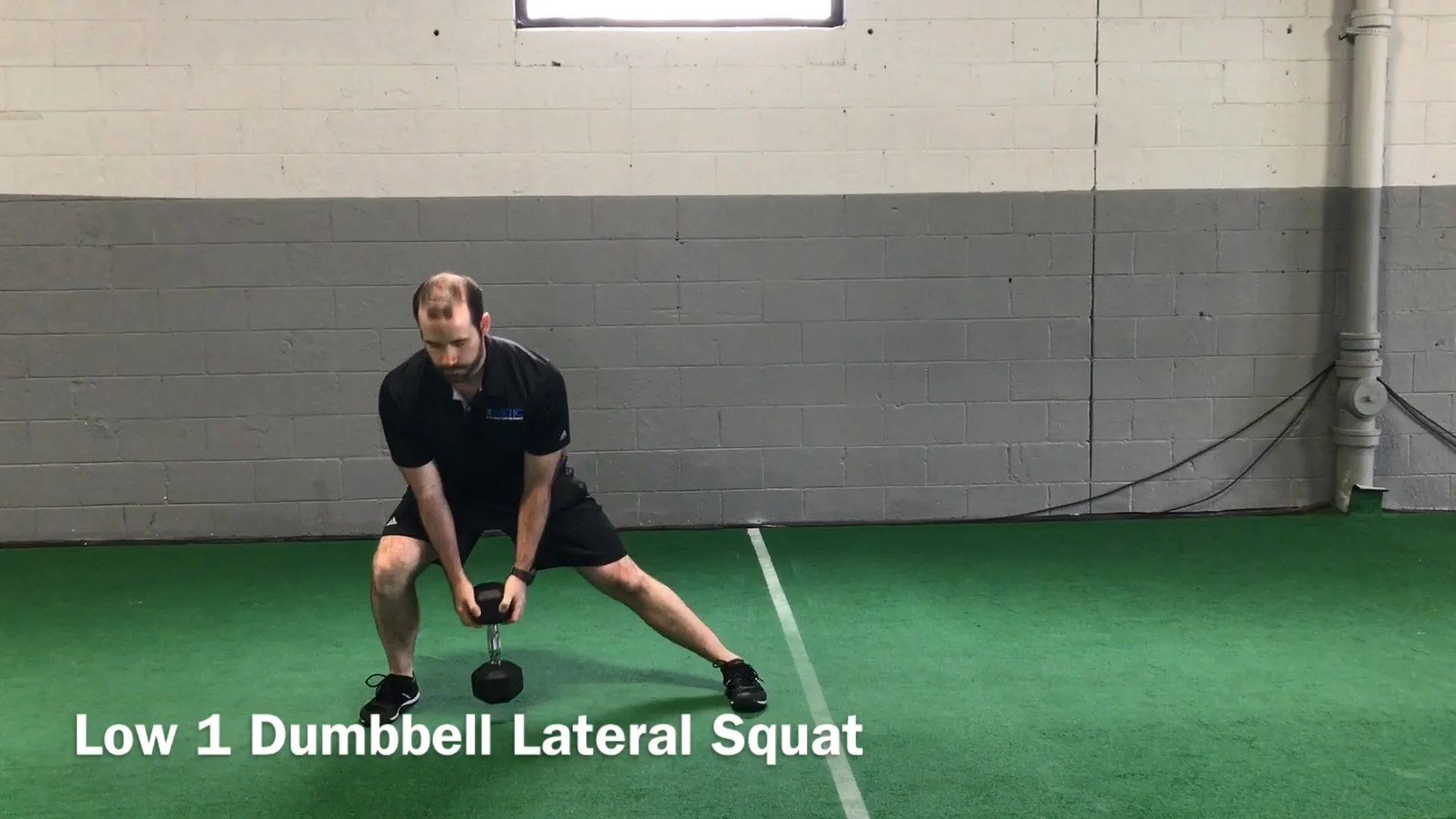 Dumbbell Squat with Lateral Raise Exercise Demonstration