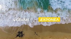 Become a Hero with Exponea’s CDXP