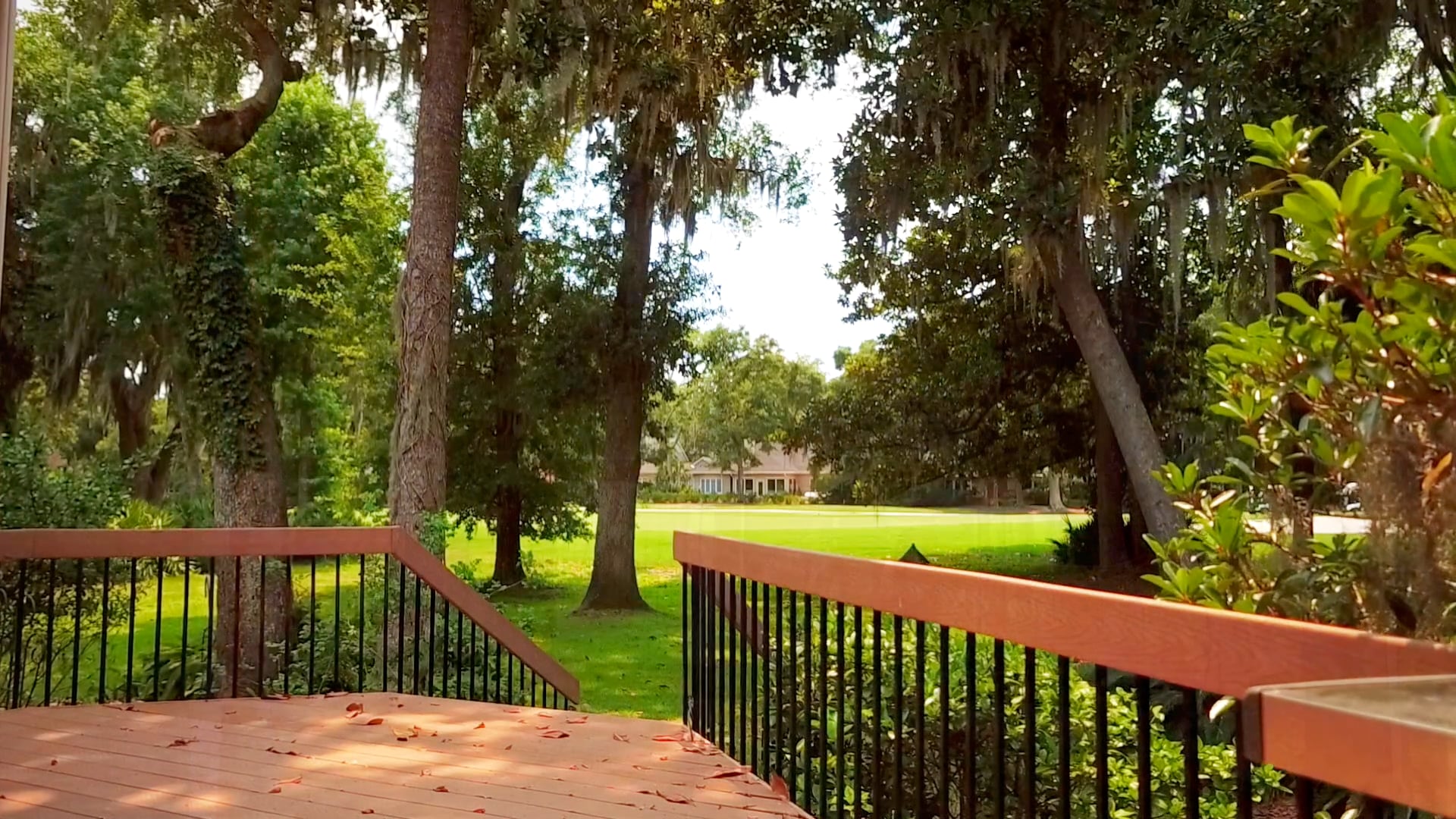 203 Yam Gandy MLS on Vimeo