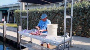 Related Embedded Video Item Thumbnail