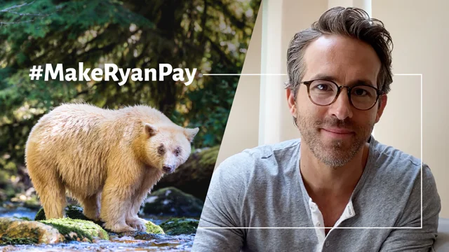 Ryan Reynolds gives subtle shoutout to hometown Vancouver BC - Vancouver Is  Awesome