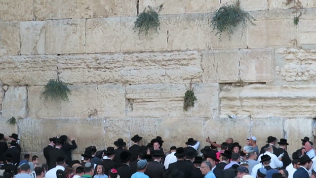 The Western Wall, Jerusalem, Jewish. Free Stock Video - Pixabay