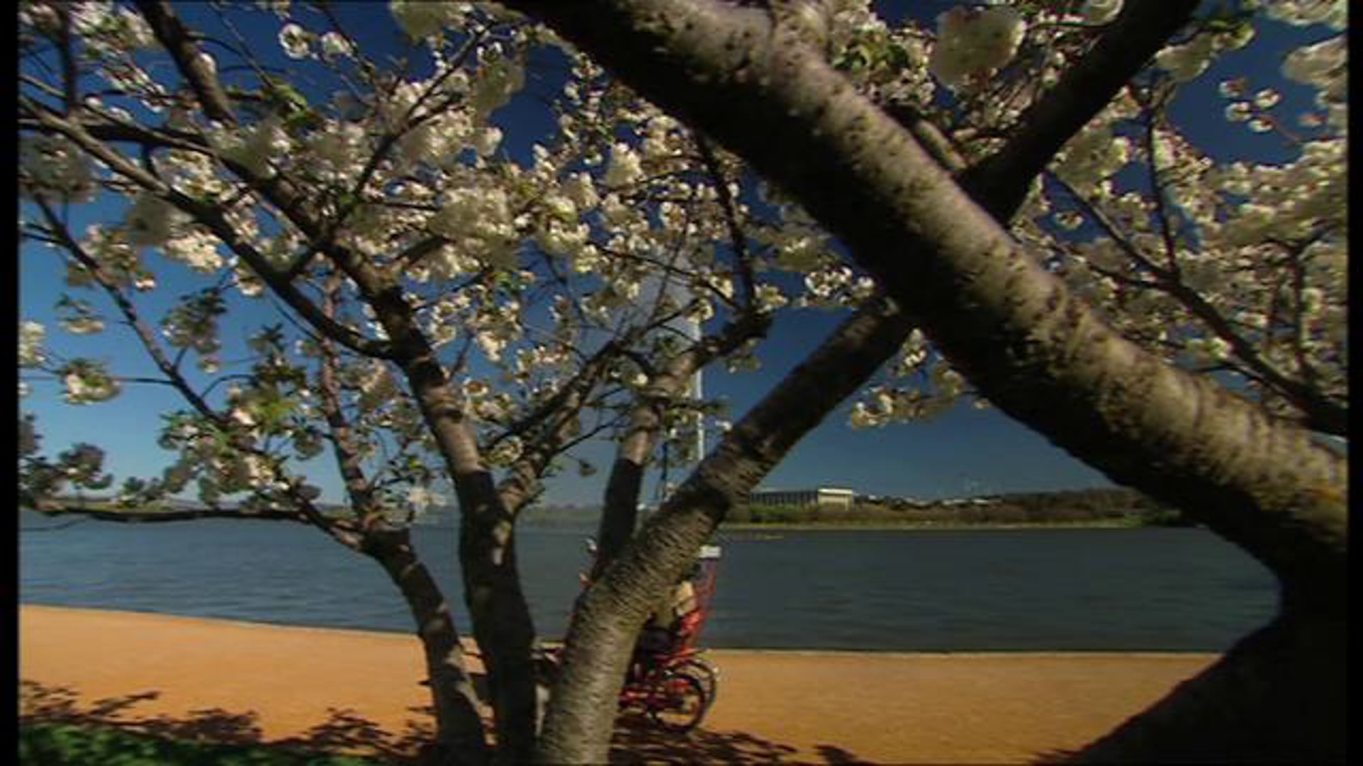 In Sync Vision Showreel 09