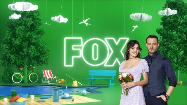 FOX - Summer ID Project