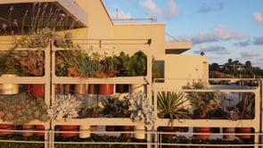Jaffa Roofhouse