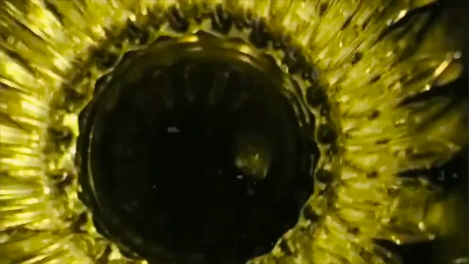 Looking Glass on Vimeo