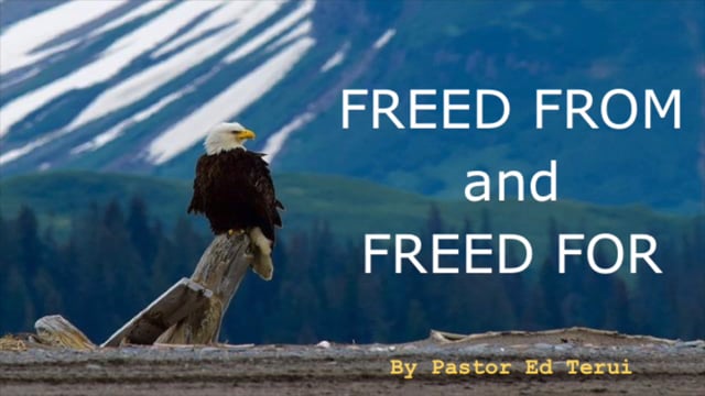 2020-7-5 Freed From and Freed For