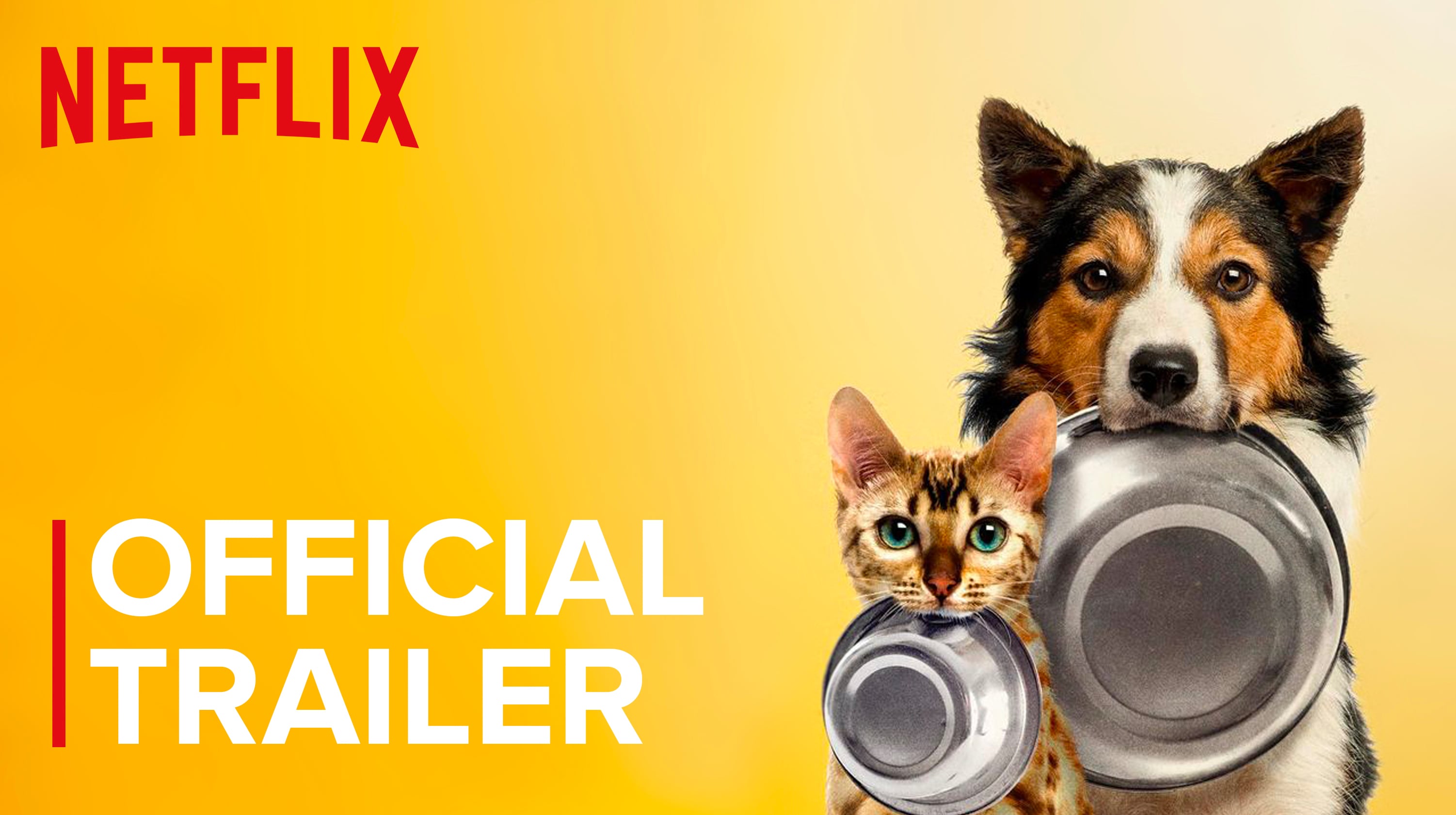 Pet fooled film best sale