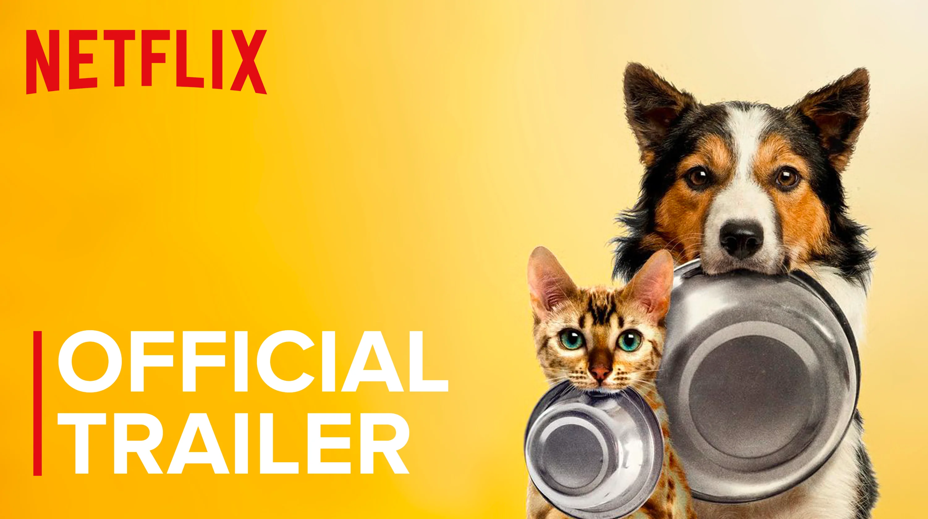 Pet fooled on outlet netflix