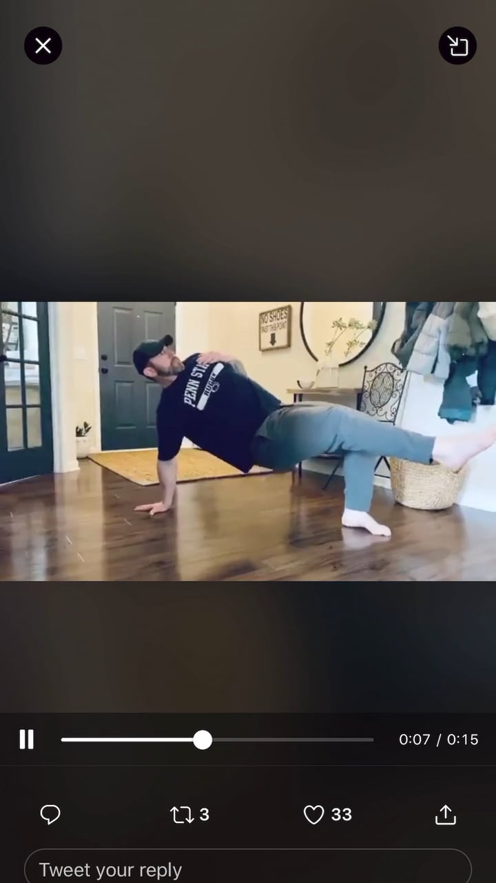 Upside down Bear on Vimeo